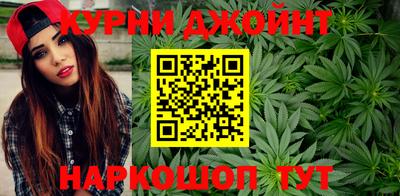 МДПВ Партизанск