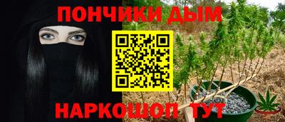МДПВ Партизанск