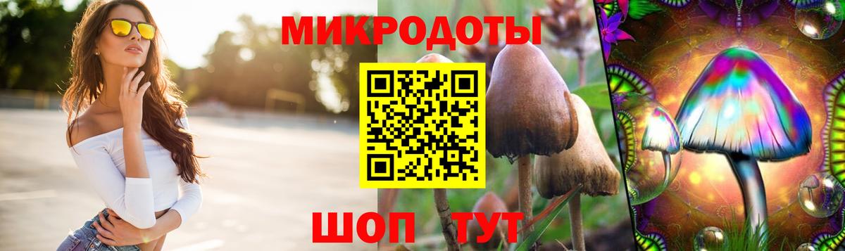 Галлюциногенные грибы Cubensis  Вход с VPN  наркота  Галлюциногенные грибы мицелий  Соликамск 